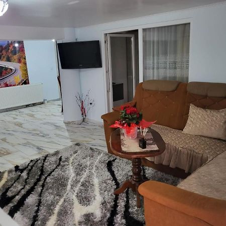 Ferienwohnung Apartament Cu Terasa Si Gratar Satu Mare Exterior foto