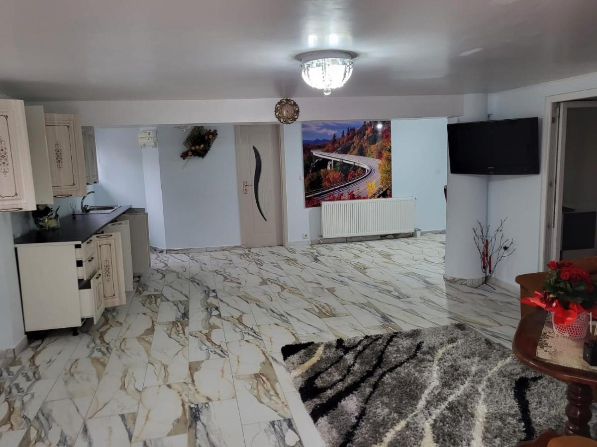 Ferienwohnung Apartament Cu Terasa Si Gratar Satu Mare Exterior foto